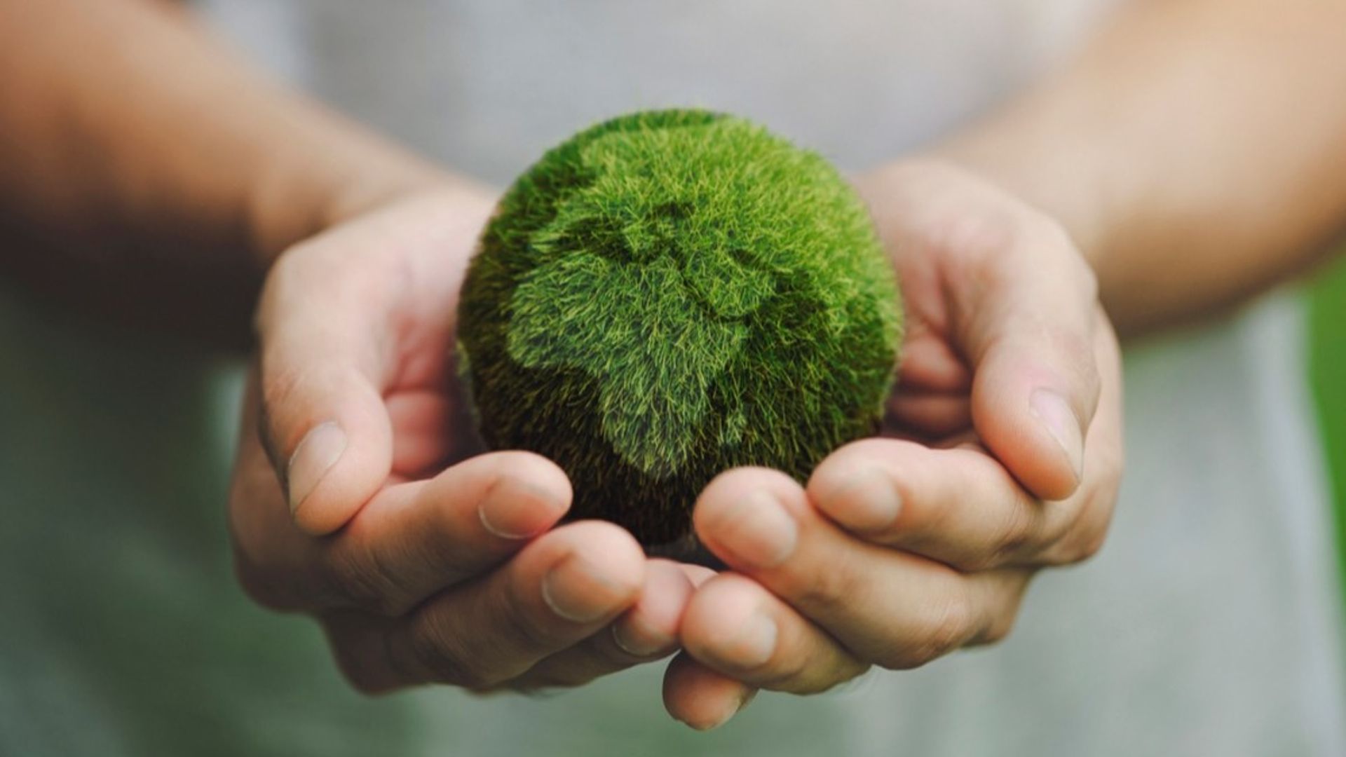 Image of a person holding a green globe