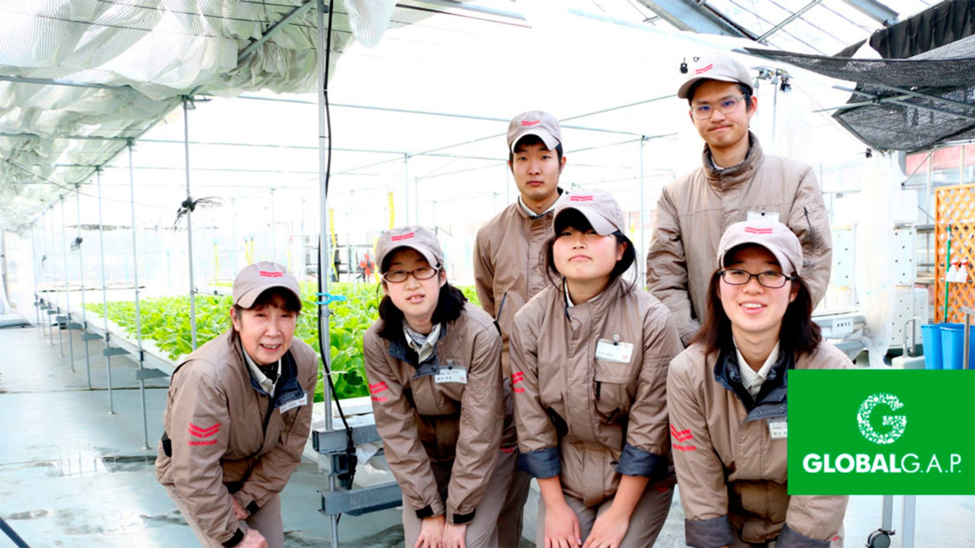 Image of workers from a farm with GLOBALG.A.P.-certified production processes