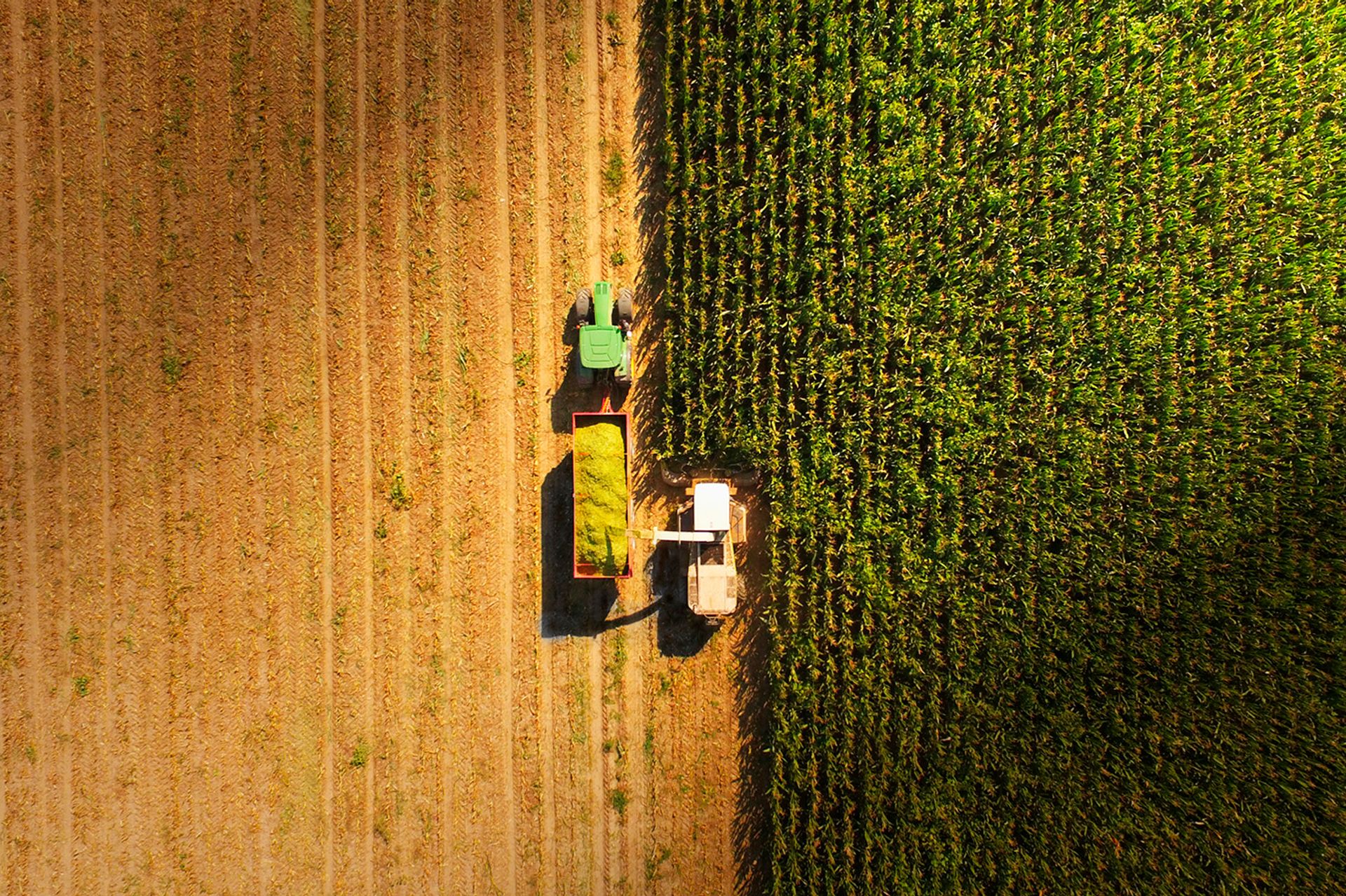 Image of a combine harvester from above working in a field