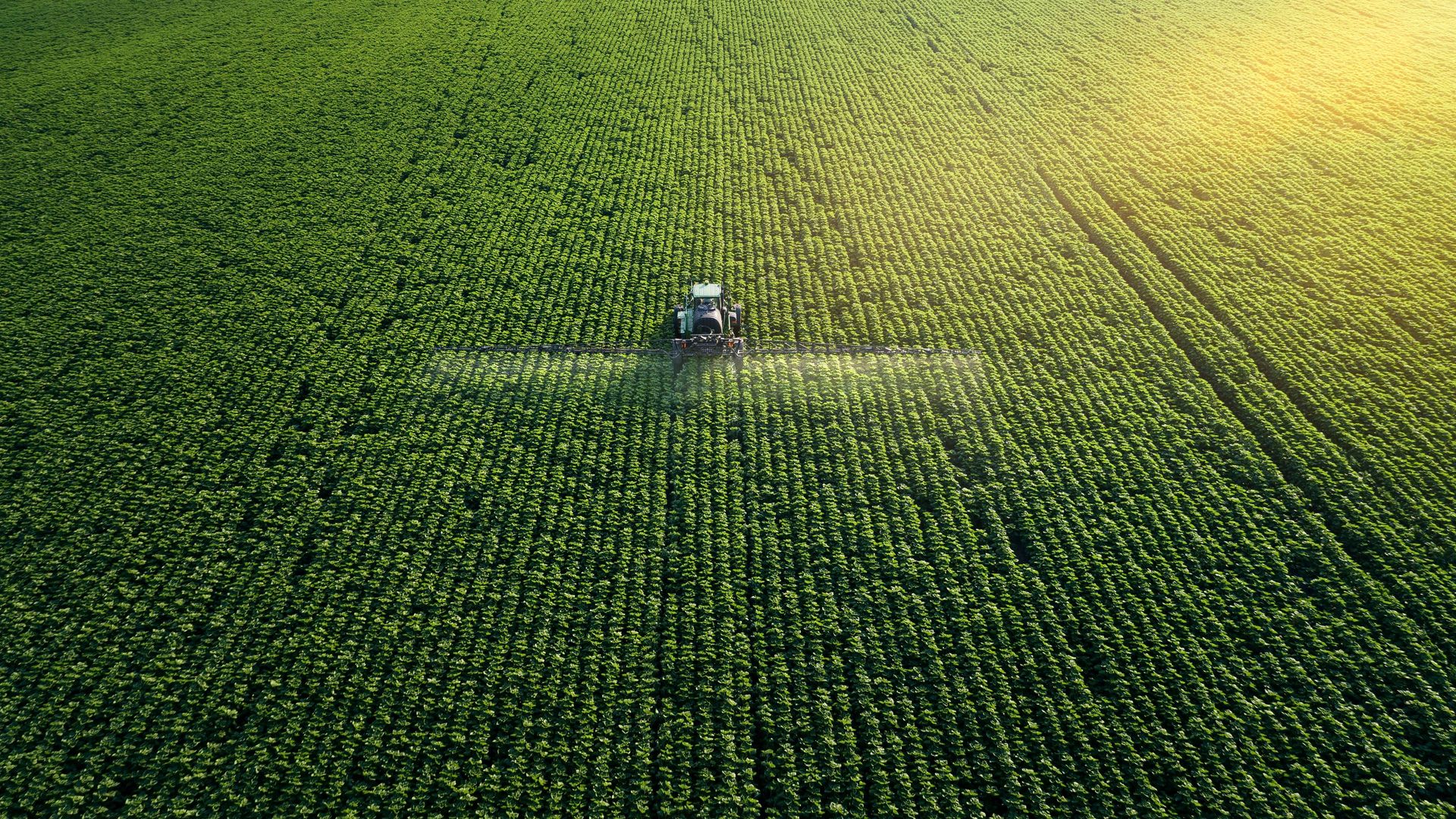 Image of a tractor applying a plant protection product to a field 