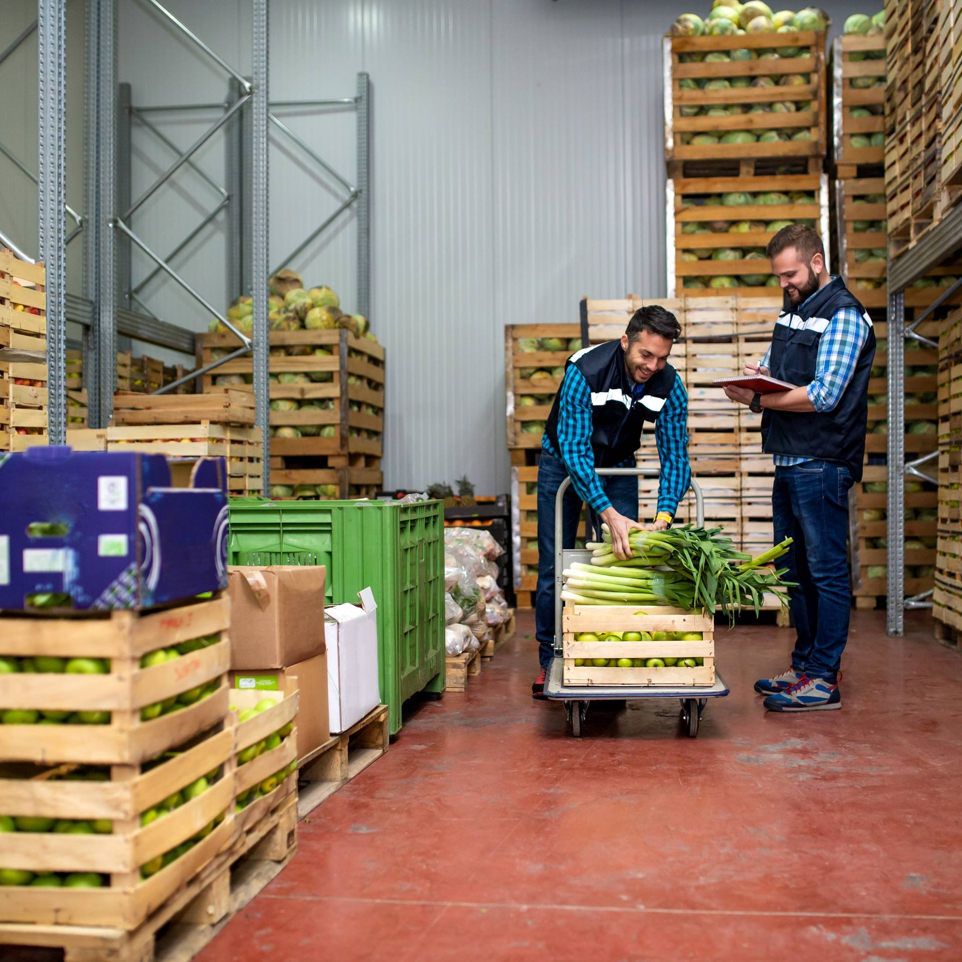 Image of a fruit and vegetable warehouse segregating produce