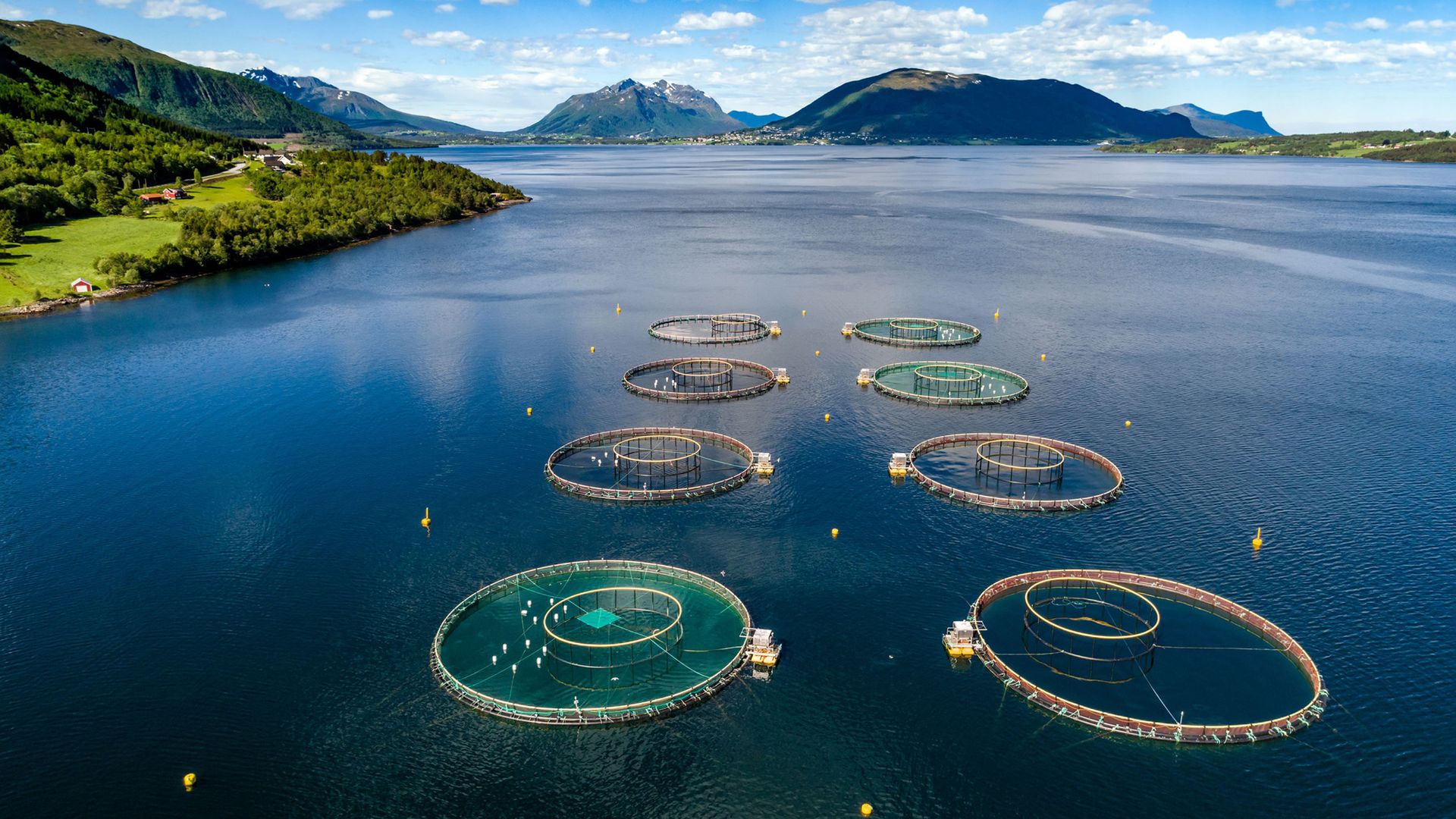 Image of a Norwegian aquaculture farm from above