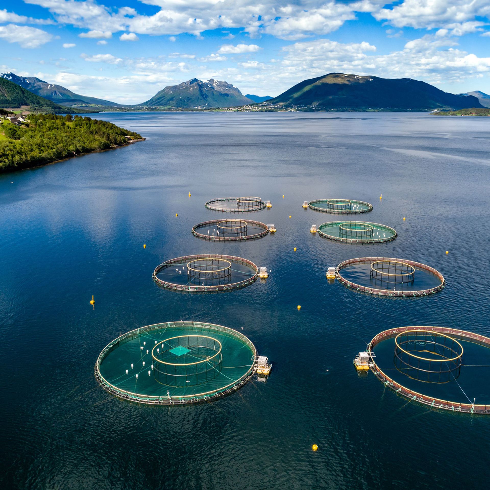 Image of a Norwegian aquaculture farm from above