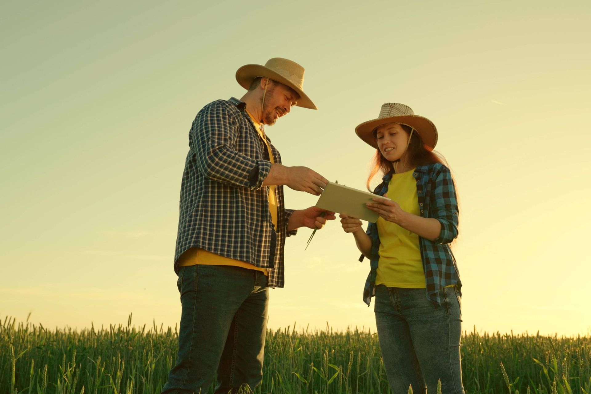 Image of two producers in a field looking at a digital map of the production area
