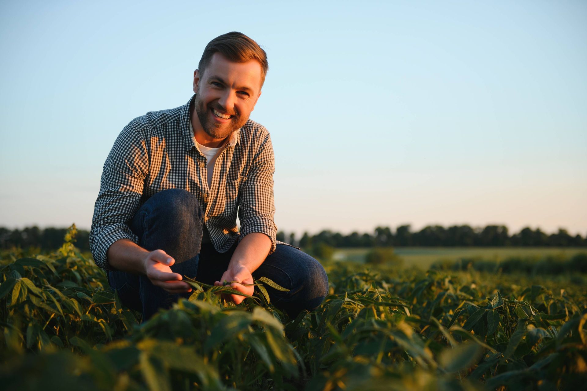 Image of a vegetable producer in a field at sunset checking plant growth