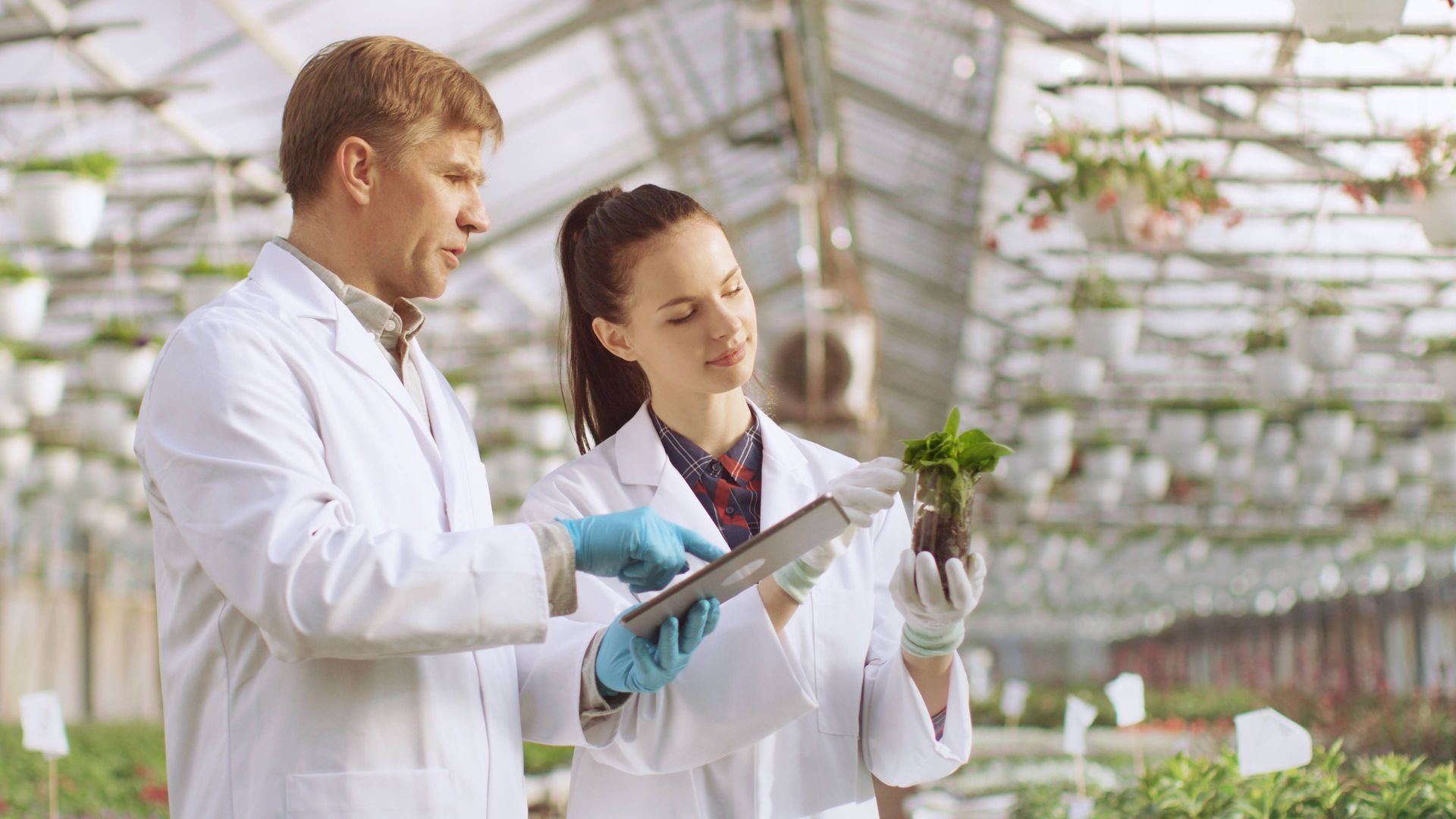 Image of technical expert analyzing plant health inside a floriculture greenhouse