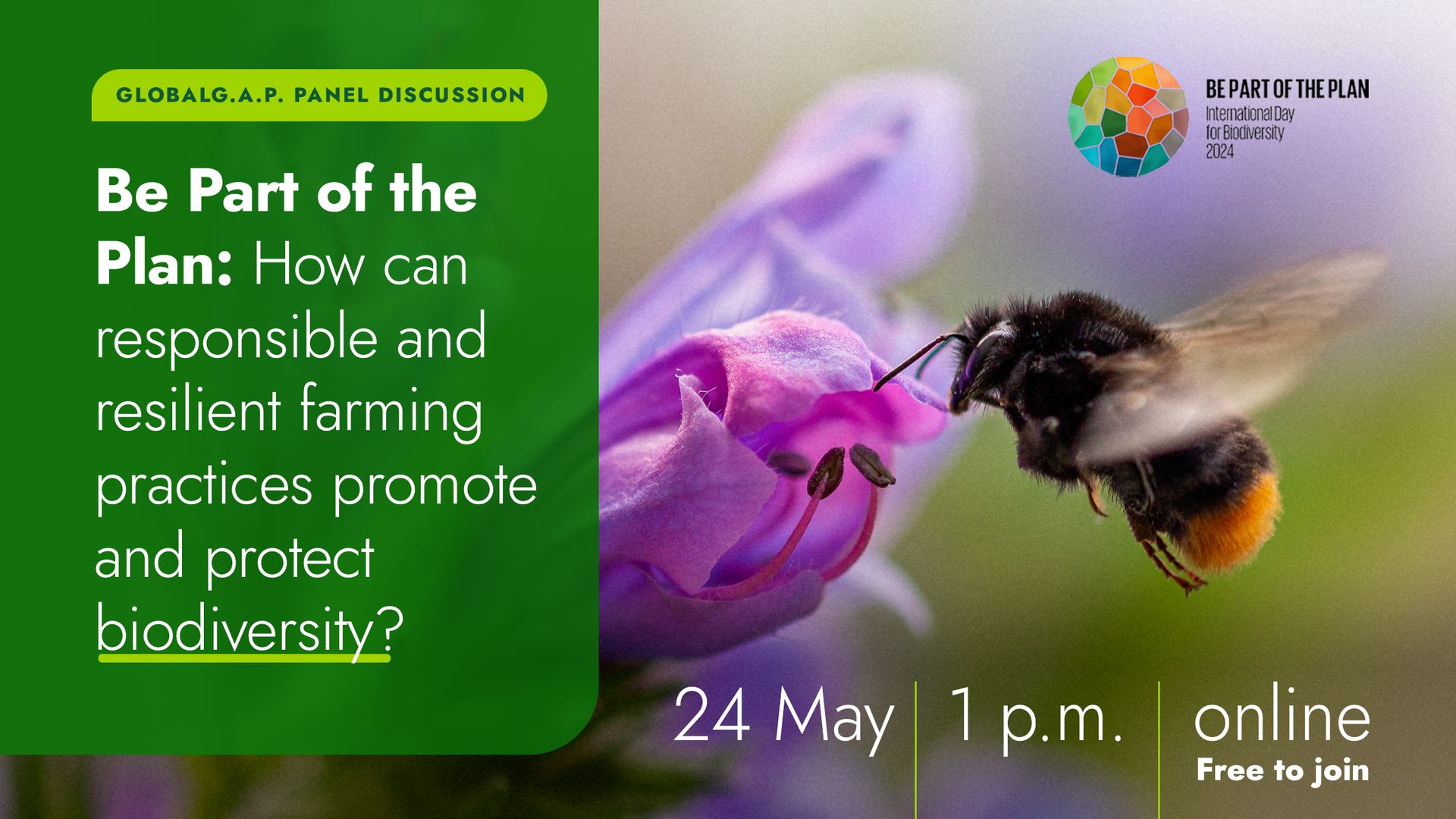 Banner advertising the GLOBALG.A.P. virtual panel discussion on 24 May 2024 at 1.pm. CEST in celebration of the UN International Day of Biological Diversity 