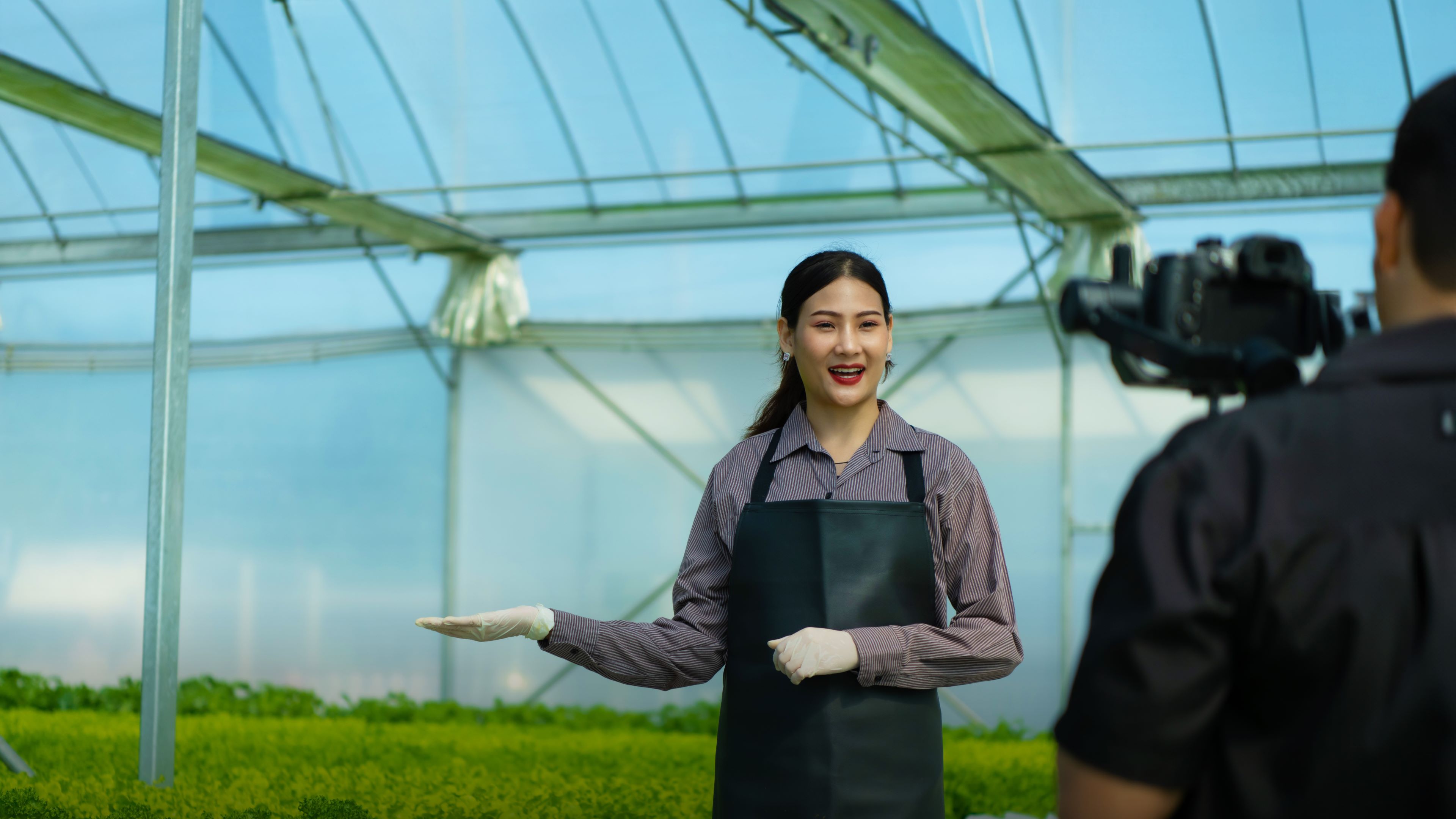 Image of a vegetable producer explaining the production process to a media outlet during an interview
