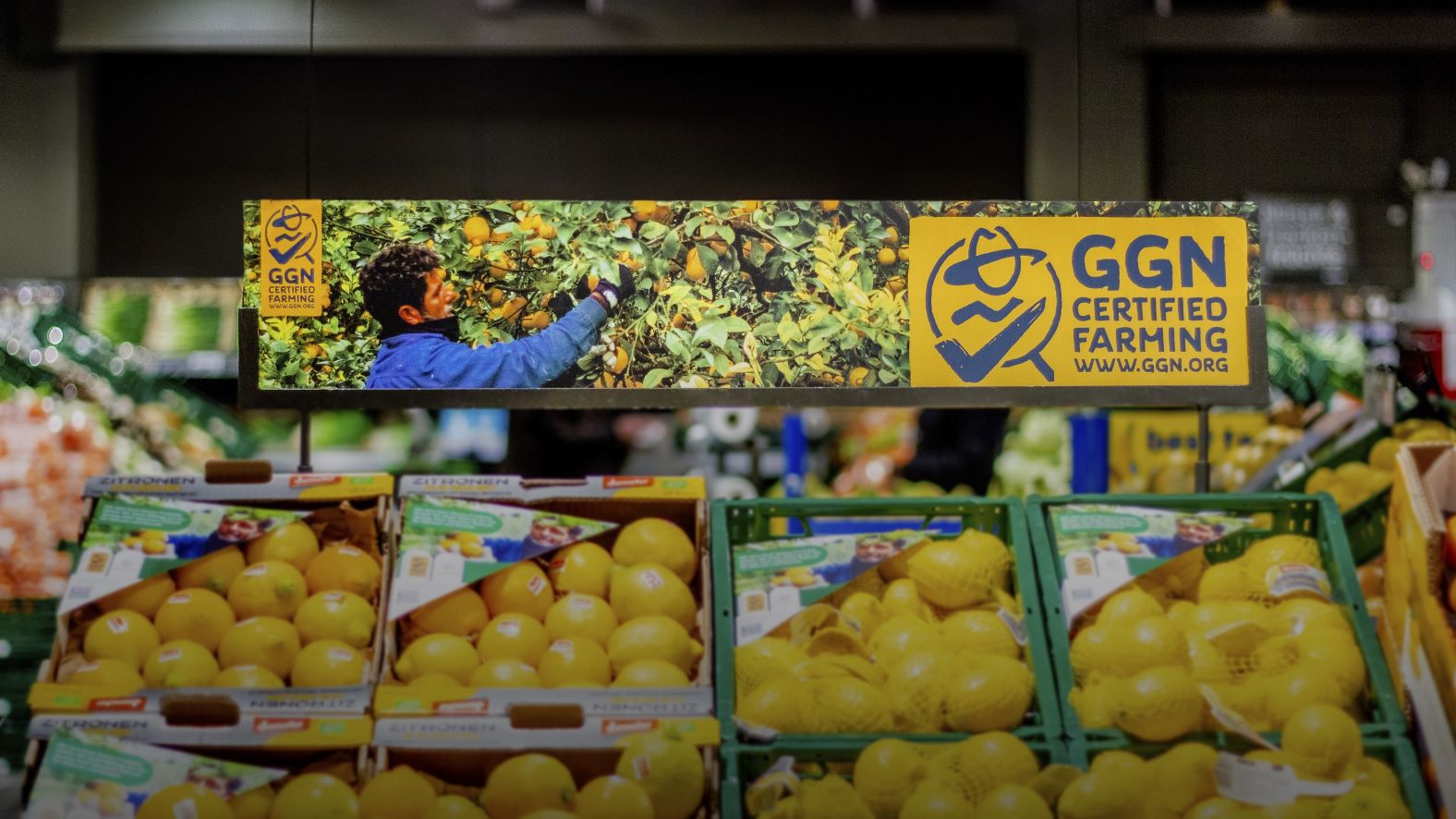 Image of fruit with the GGN label on a display stand in the retailer Globus in Germany