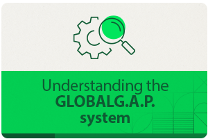 Understanding the GLOBALG.A.P. system