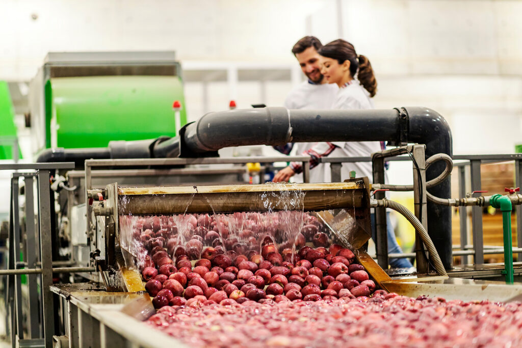 Farm employees washing harvested fruit