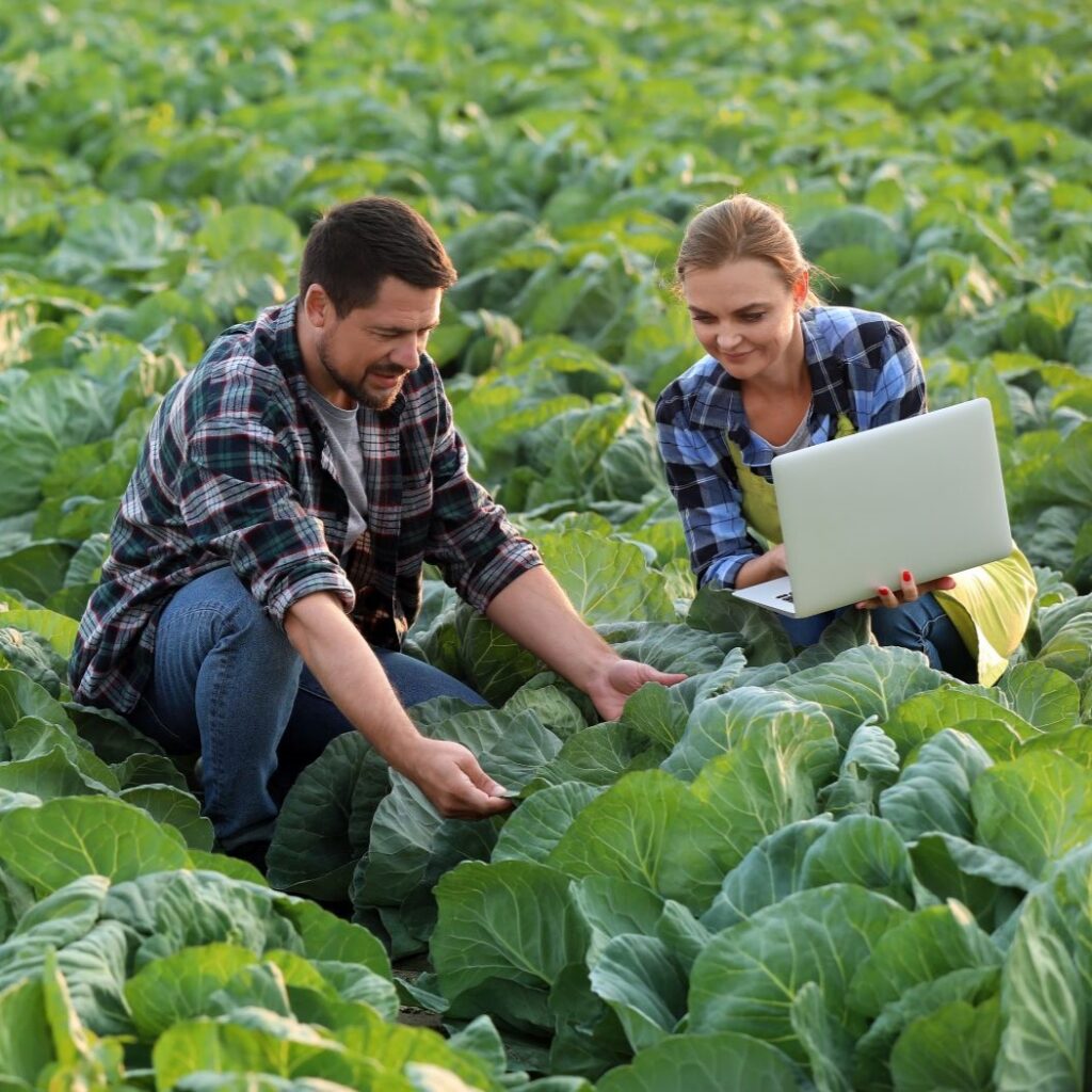 Image of a female auditor inspecting a fruit and vegetable farm accompanied by a male producer