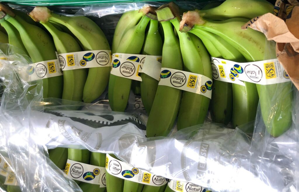 Photo of bananas in a supermarket featuring the GGN label.