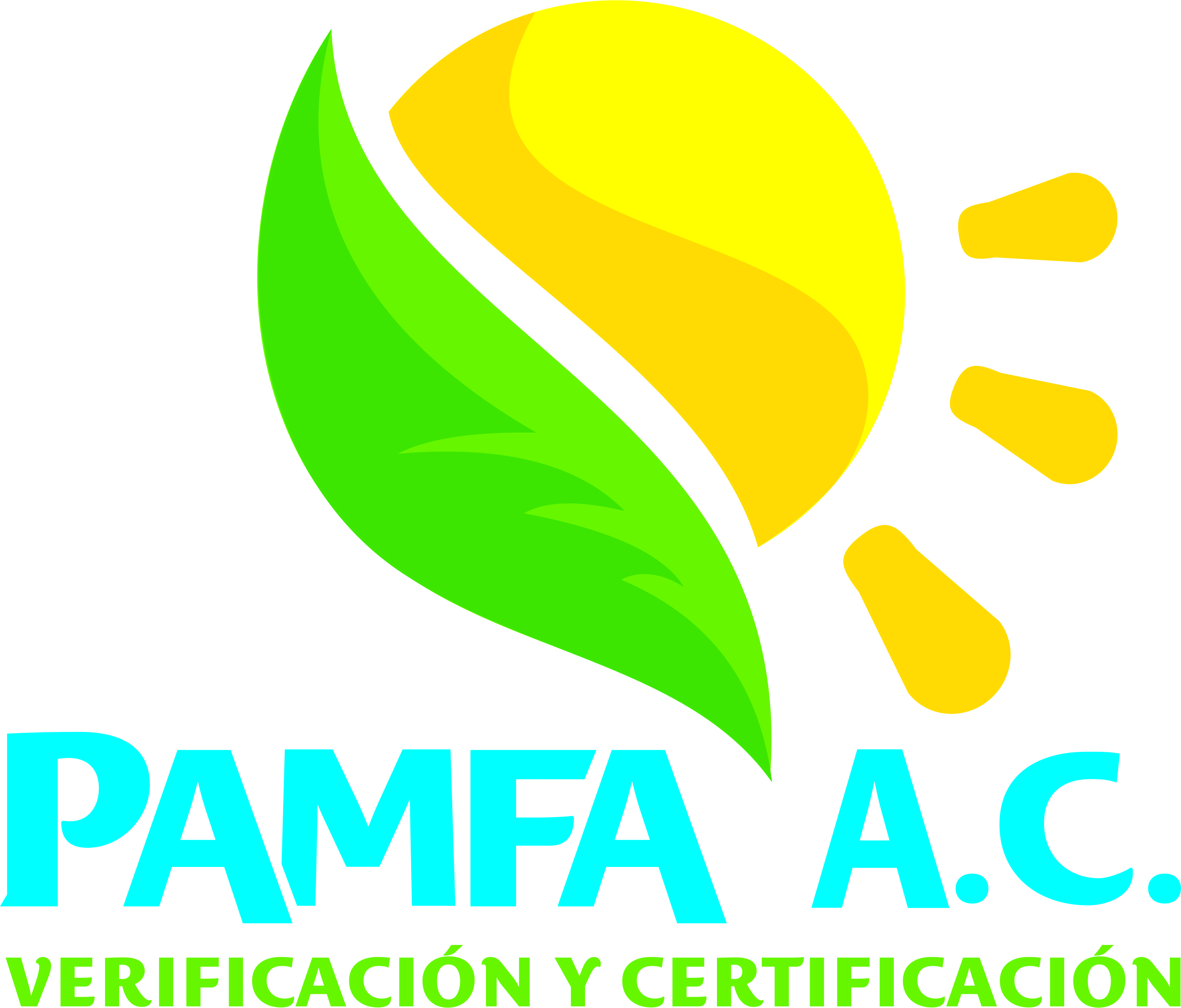 Verificación y Certificación PAMFA A.C.