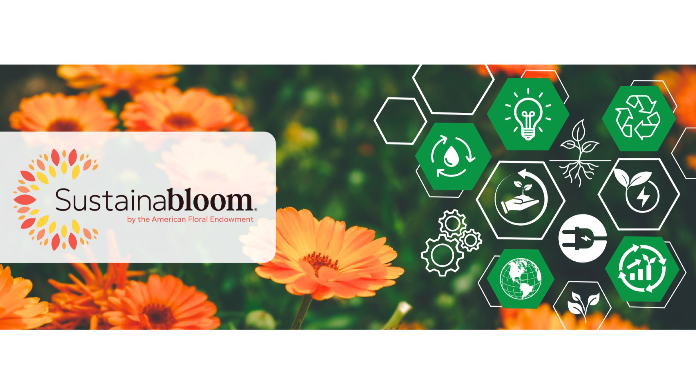 Welcome Sustainabloom, established by the American Floral Endowment, to GLOBALG.A.P. Community Membership!