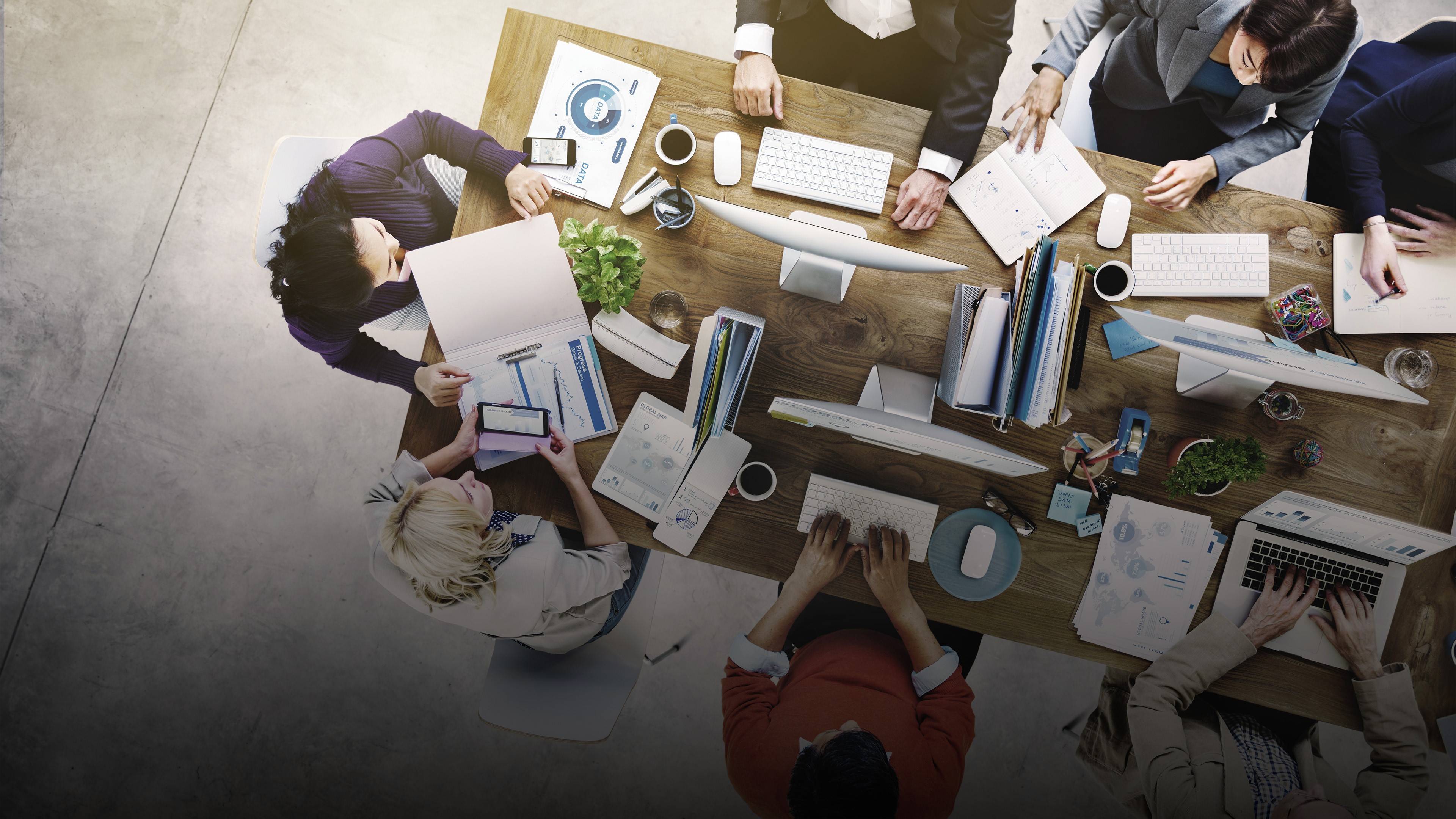 Focus groups and working groups