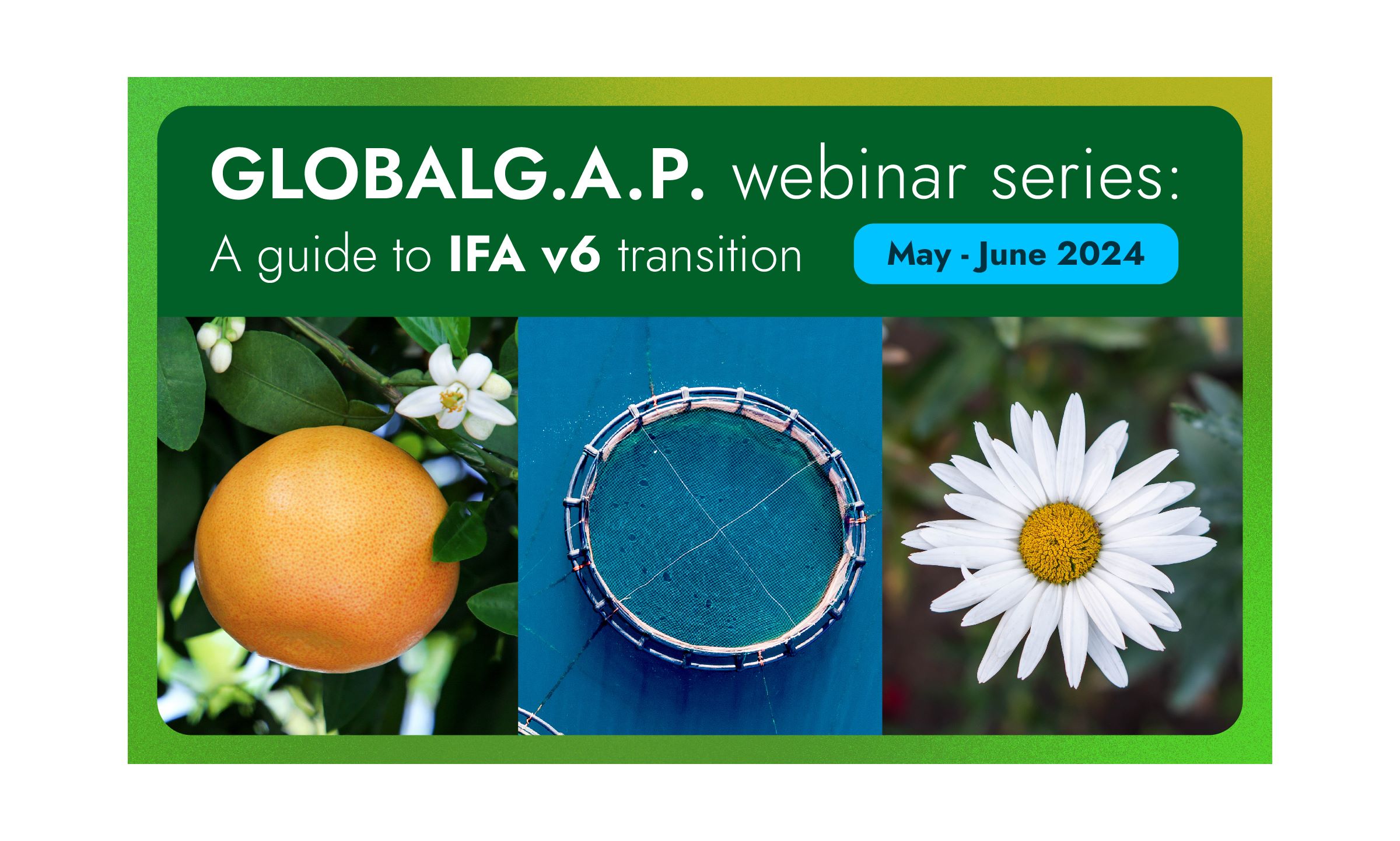 New GLOBALG.A.P. webinar series: Dive into our guide to IFA v6 transition