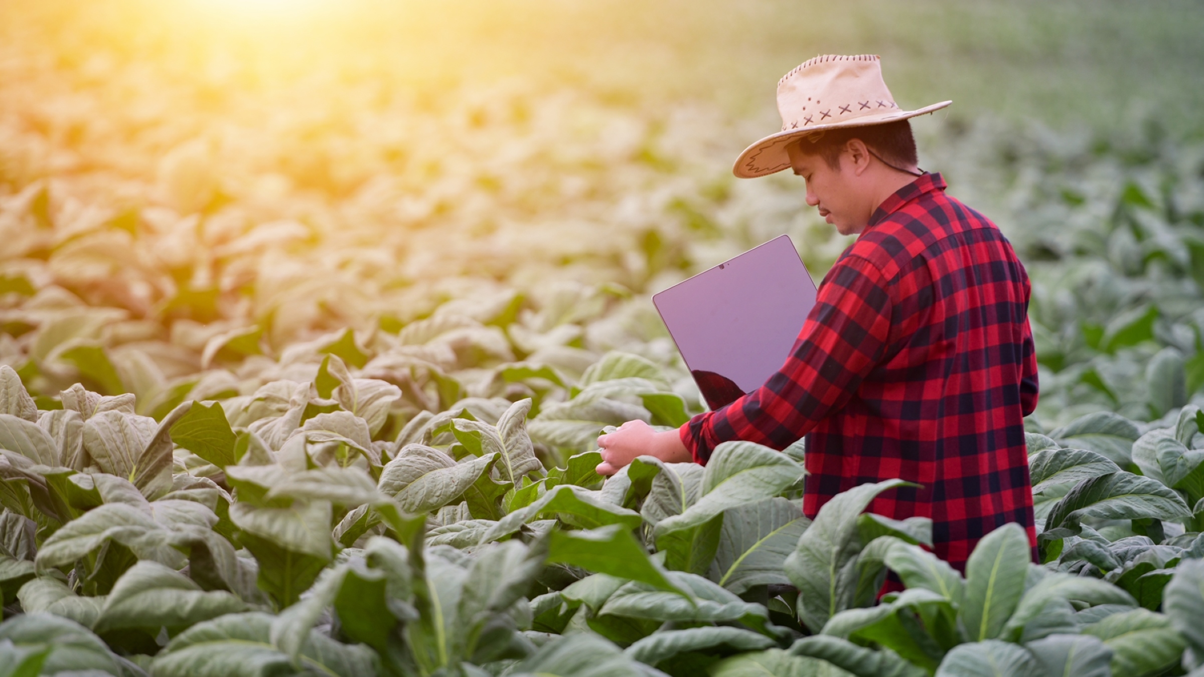 New environmental sustainability solution goes through first round of public consultation