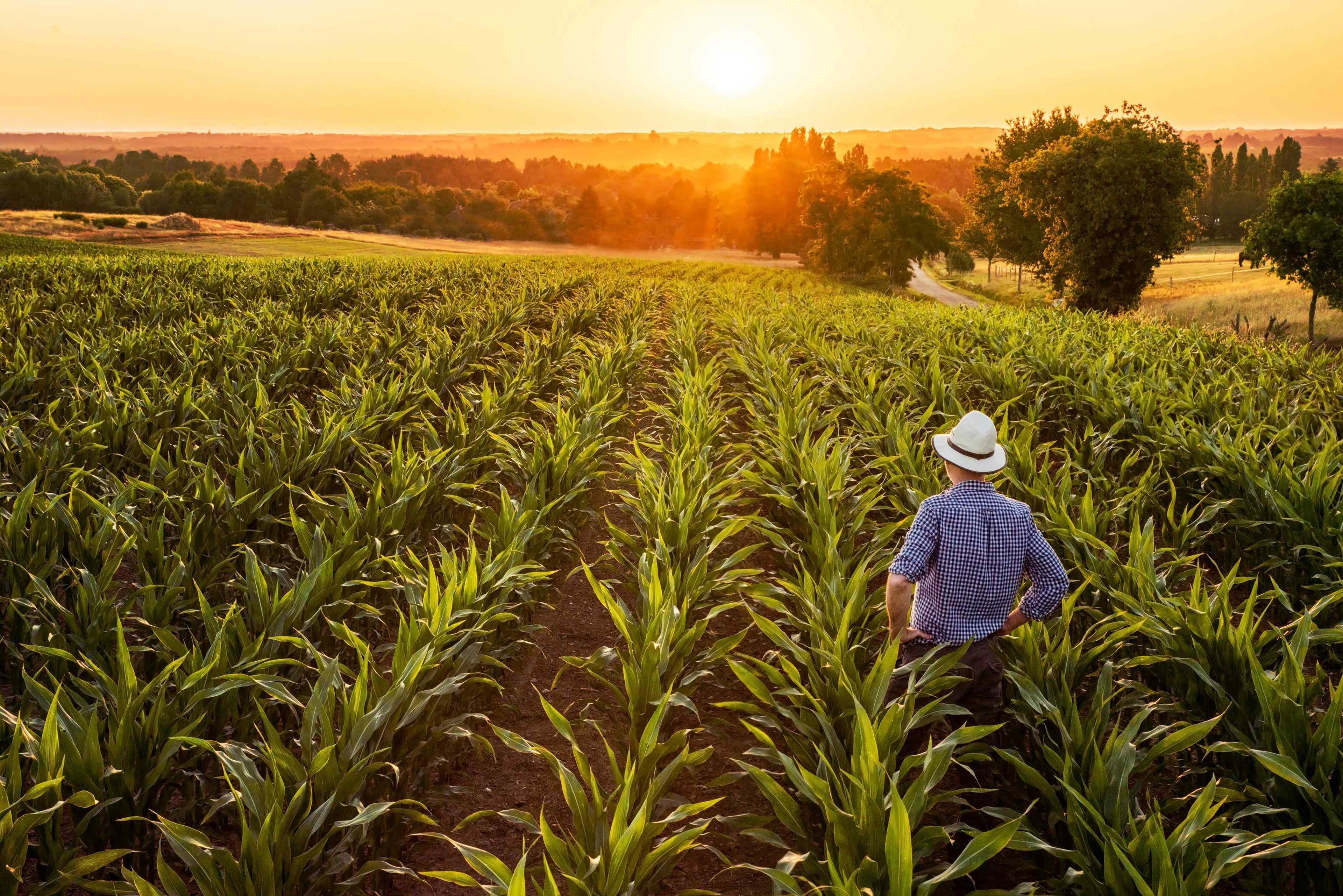 Smart farm assurance solutions