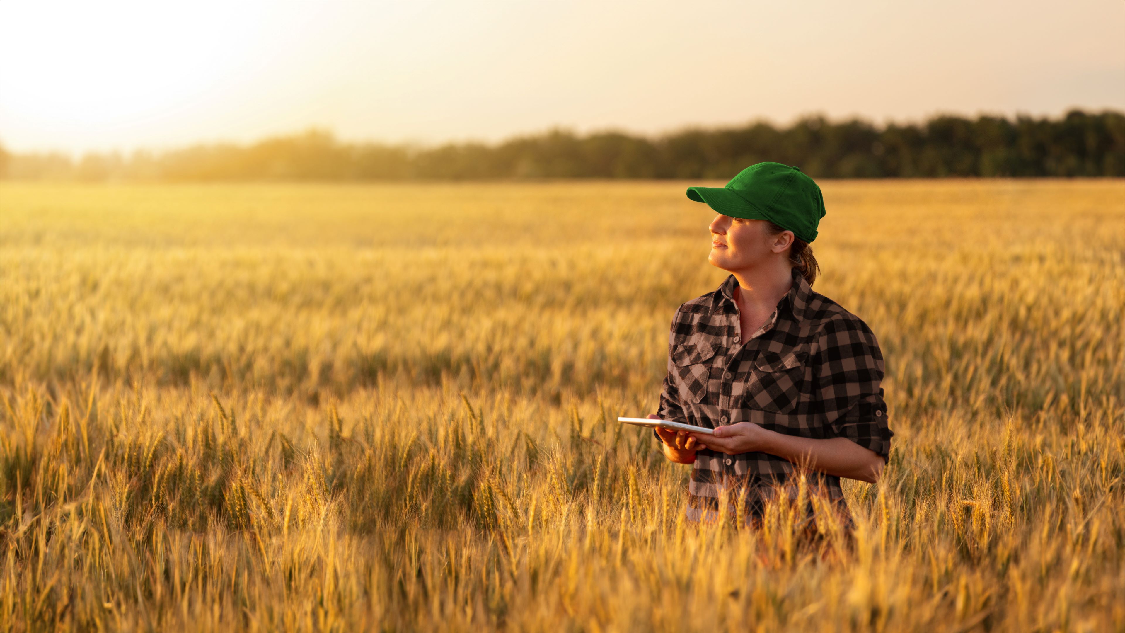 Integrated Farm Assurance for combinable crops
