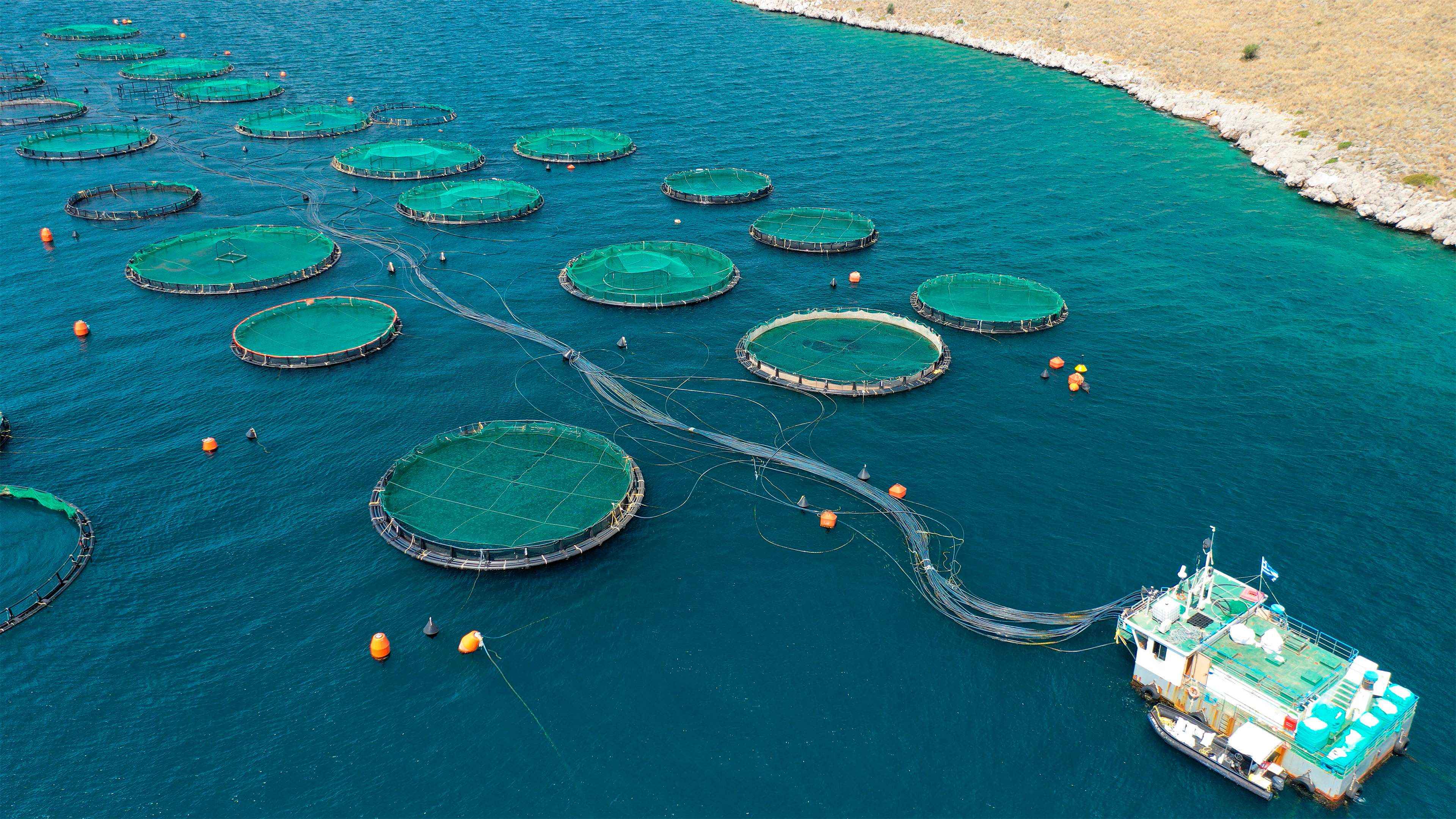 Integrated Farm Assurance for aquaculture