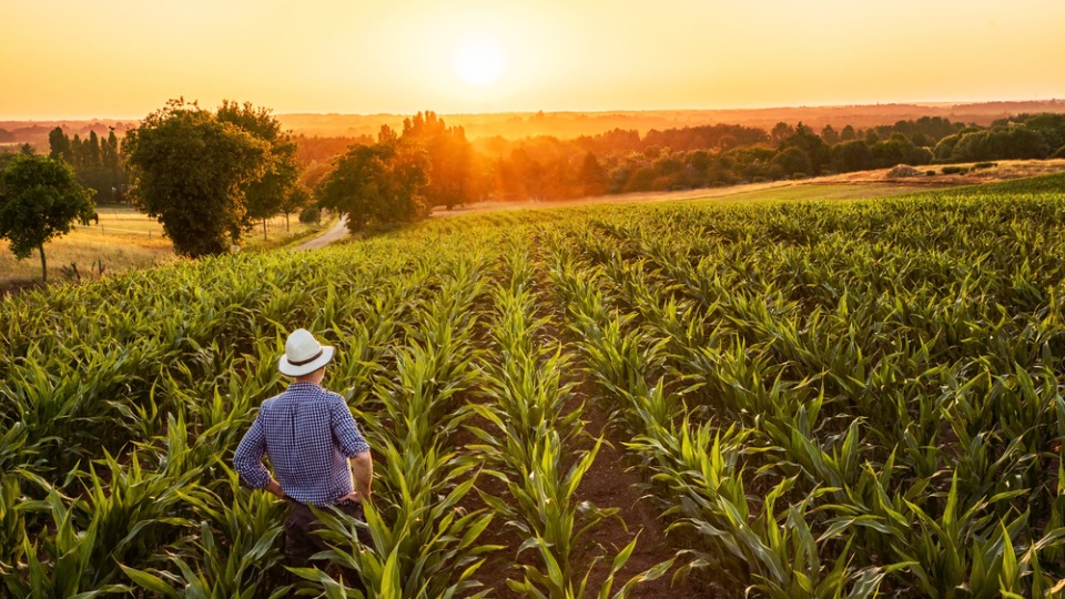 GFSI recognition received once again for GLOBALG.A.P. Integrated Farm Assurance Standards