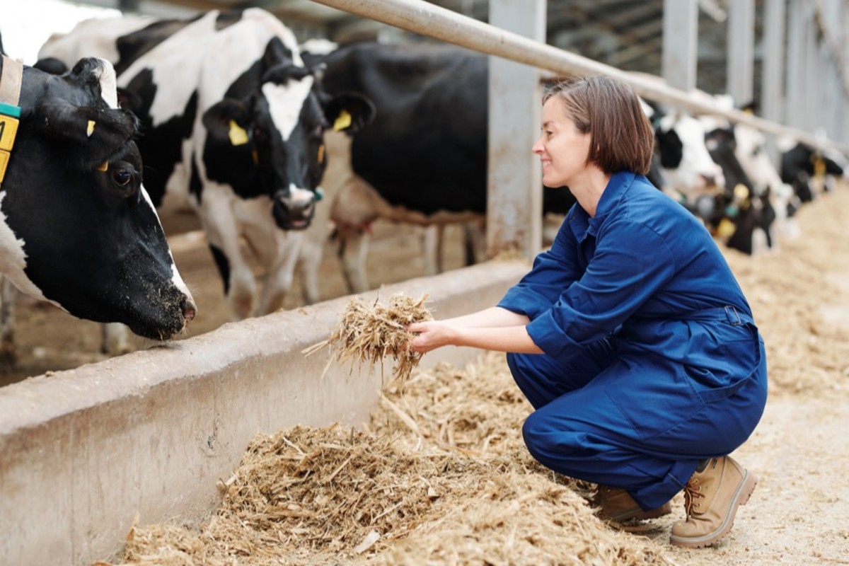 GLOBALG.A.P. secures a continuity option for the IFA livestock scope
