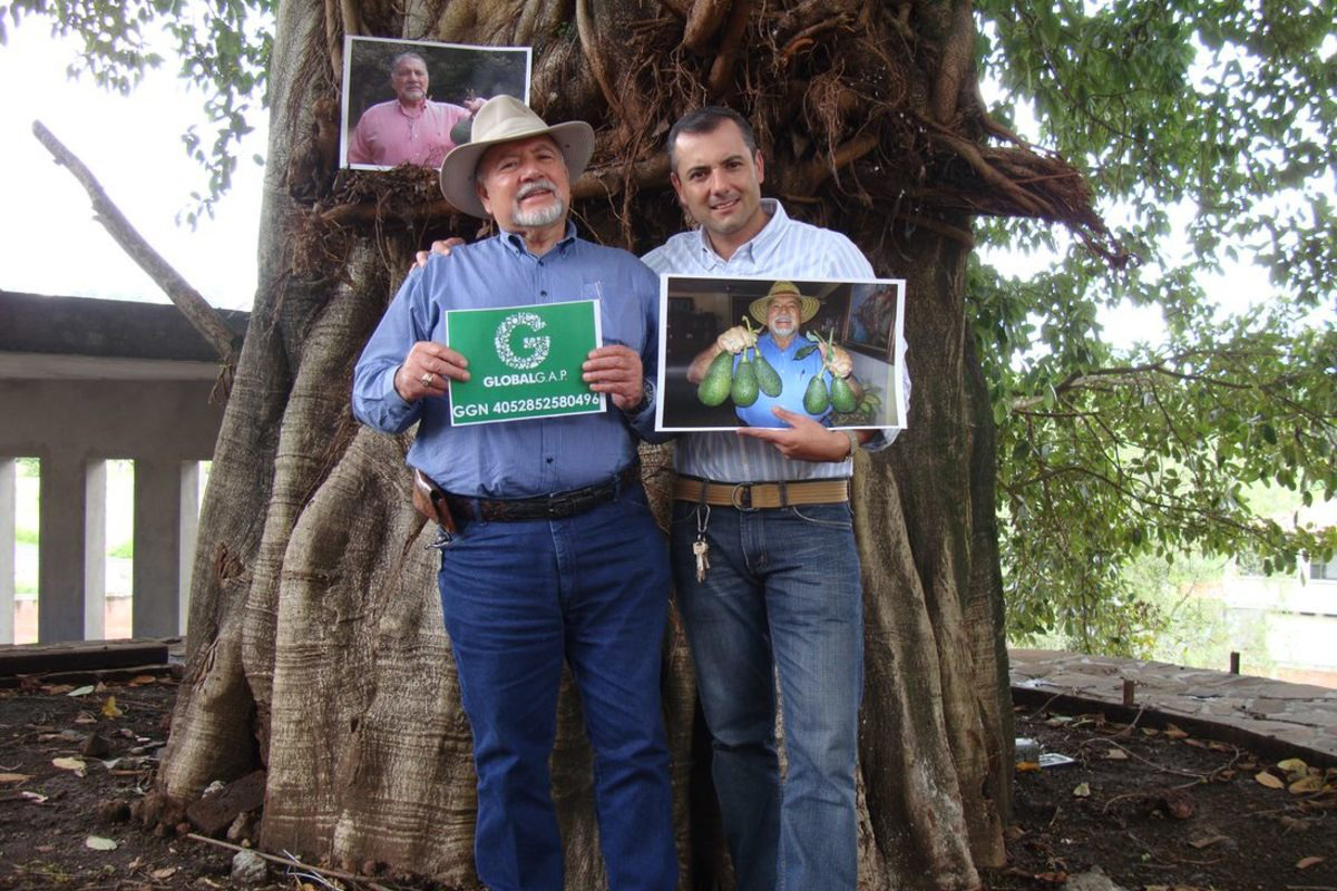 Avocado farm becomes trailblazer in reduction of rural poverty