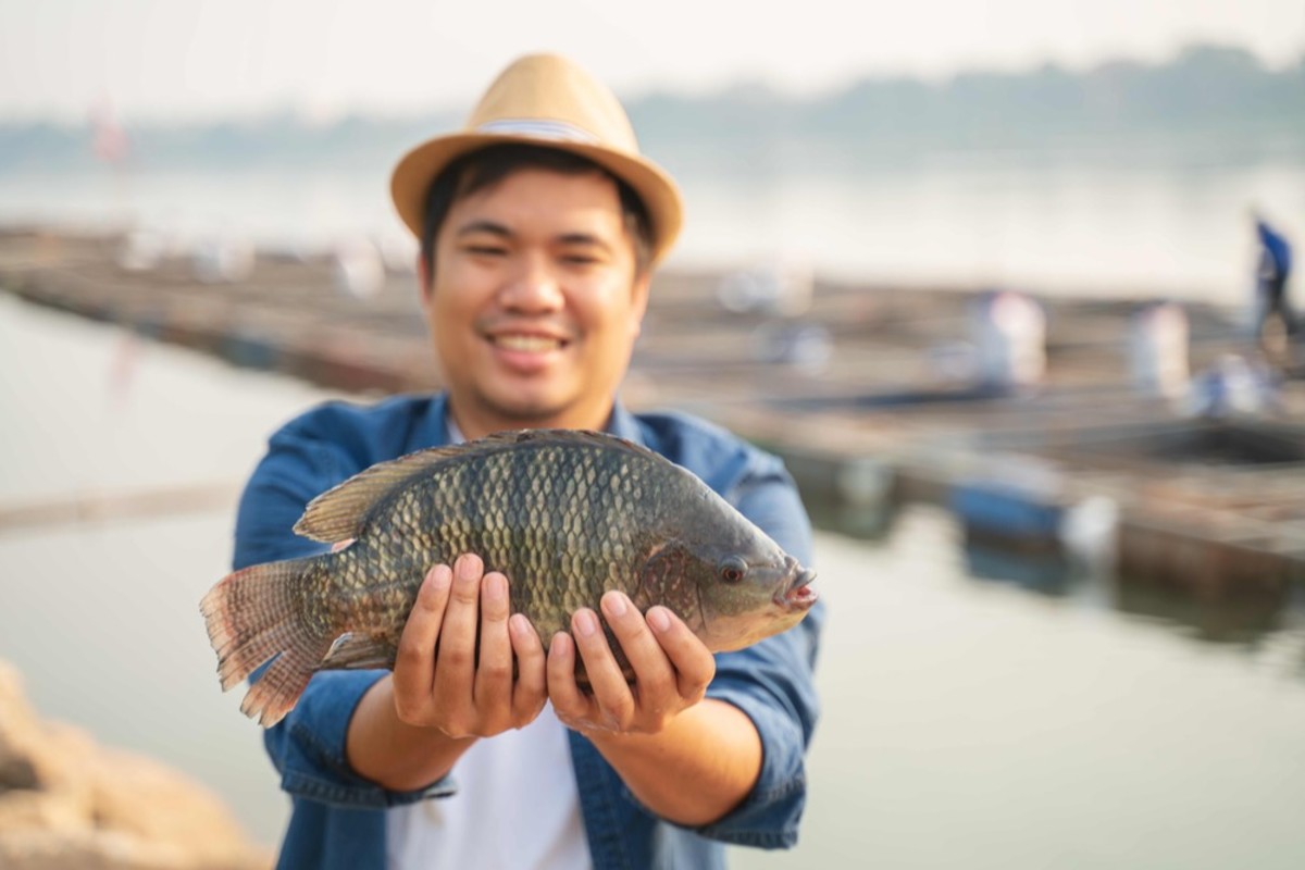 GGN label awarded top quality rating for sustainable aquaculture