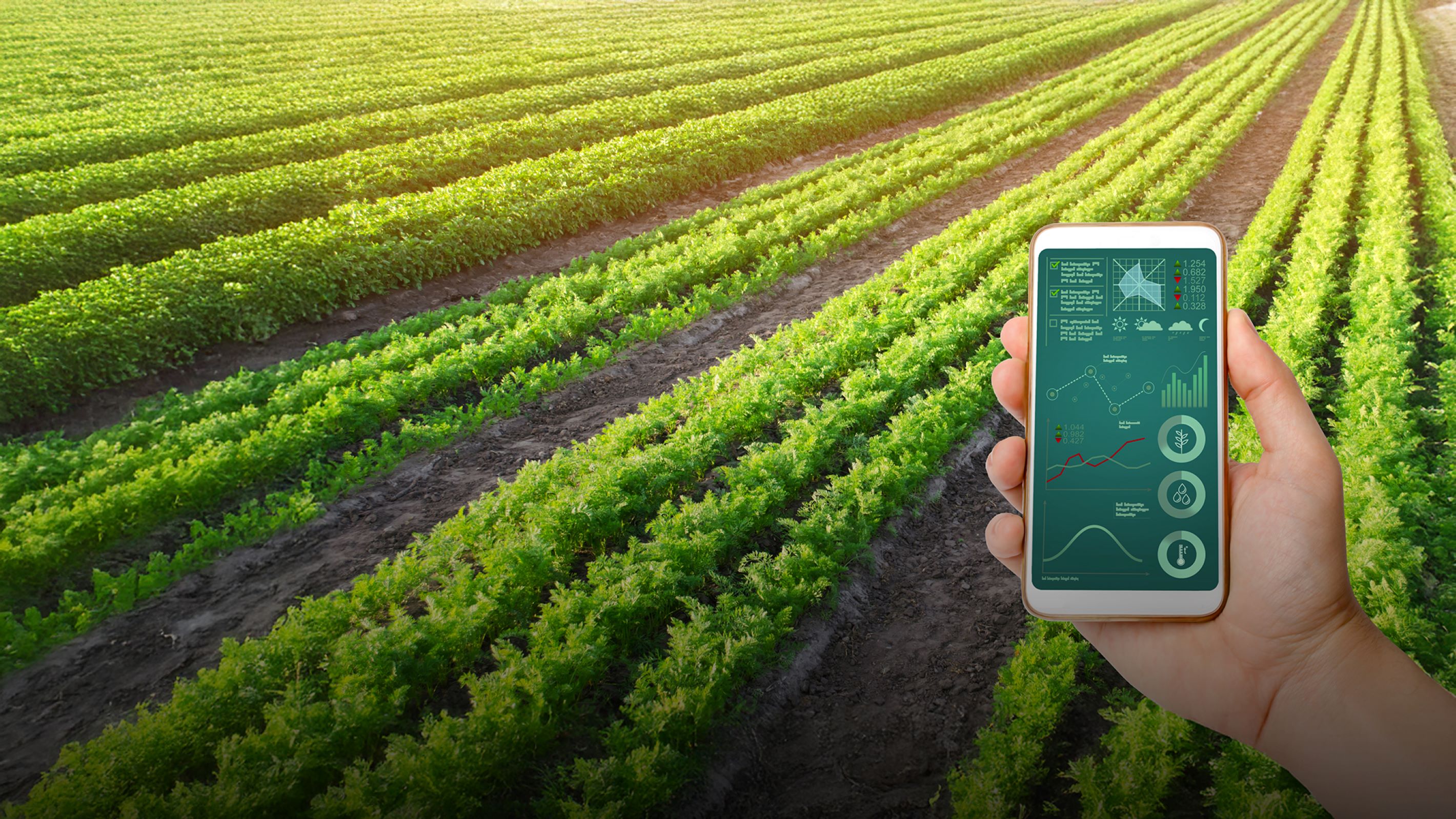 Impact-Driven Approach to Sustainability add-on