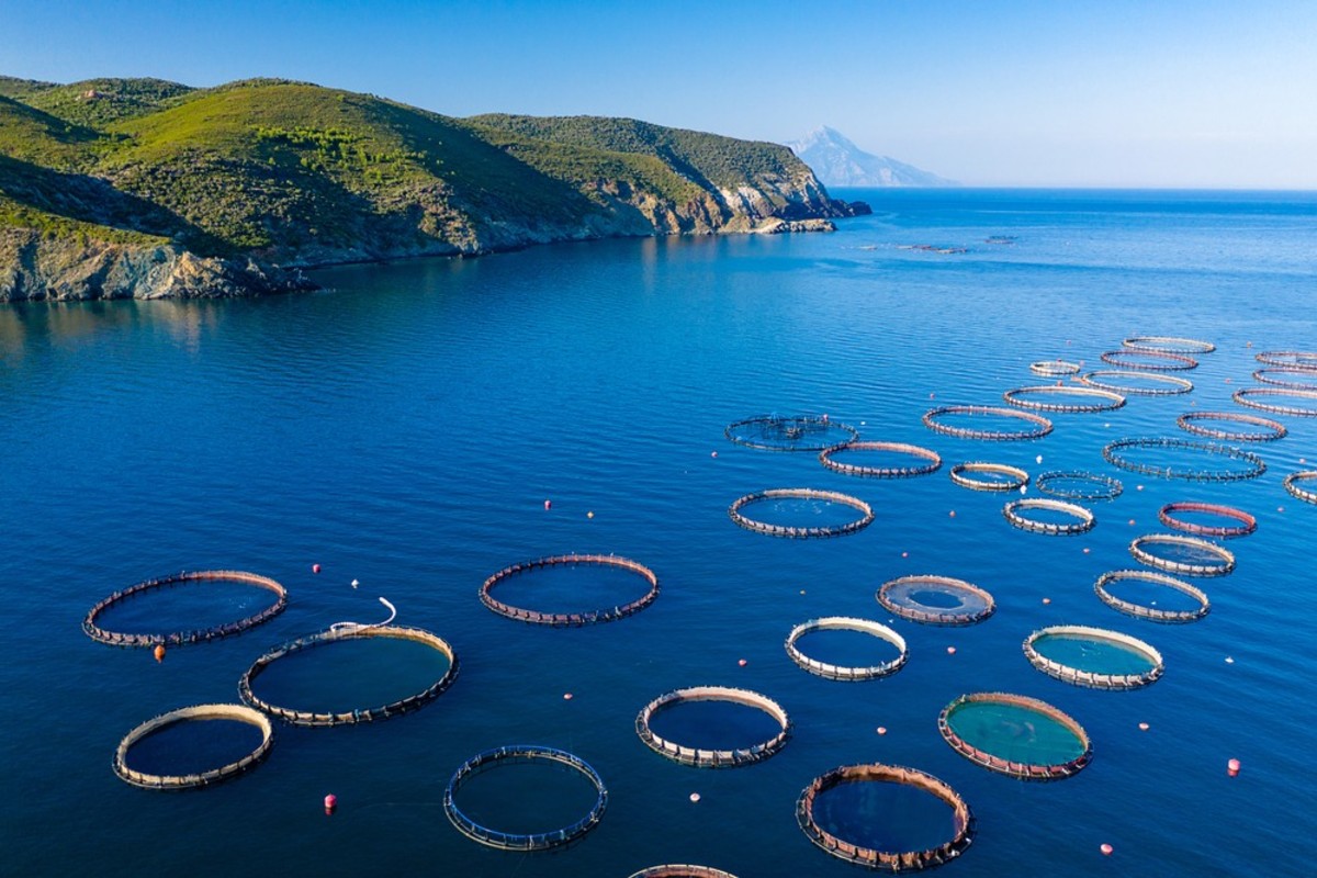 Colombian working group completes first national interpretation guideline for IFA v6 for aquaculture