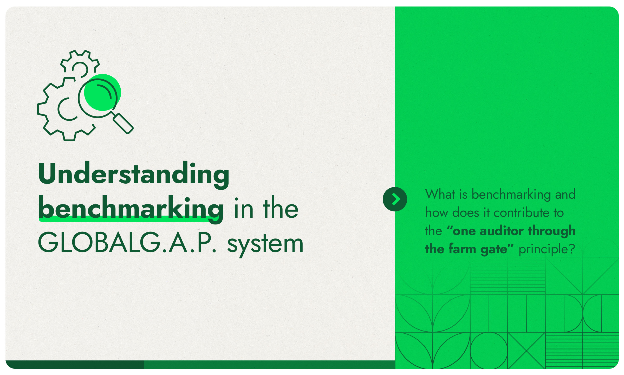 Understanding benchmarking in the GLOBALG.A.P. system