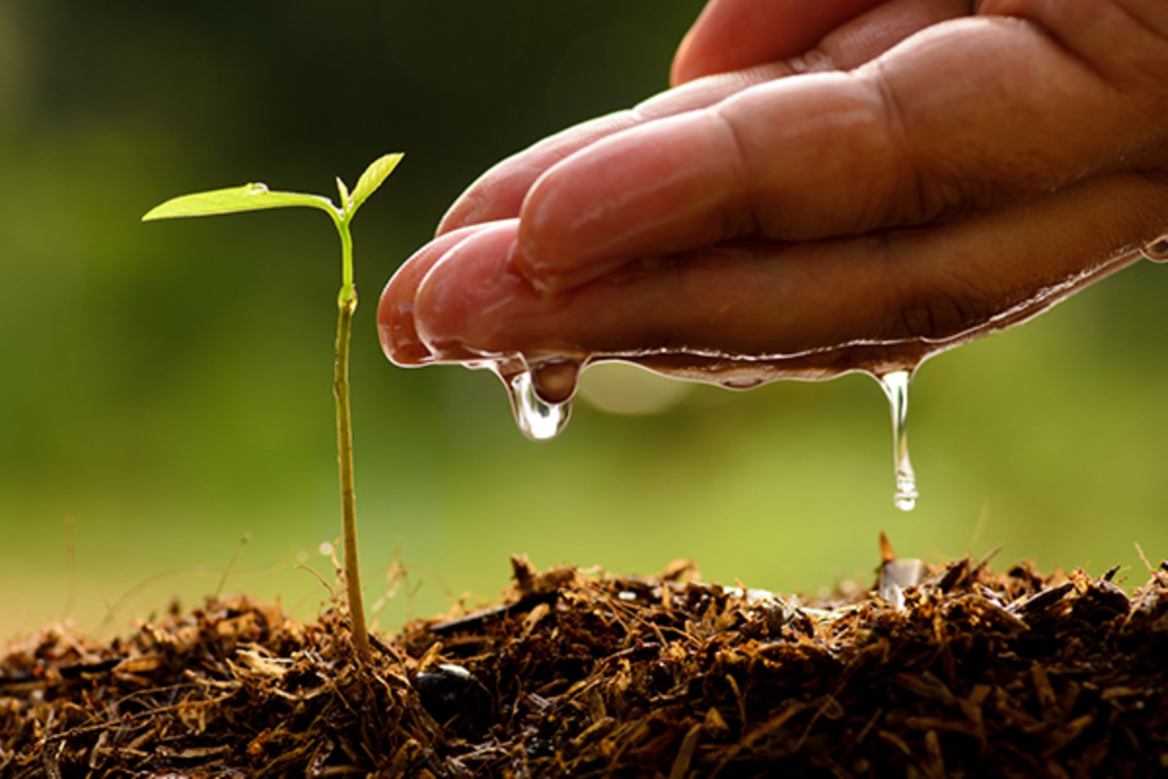 World Water Day 2023: a call to “accelerate change”