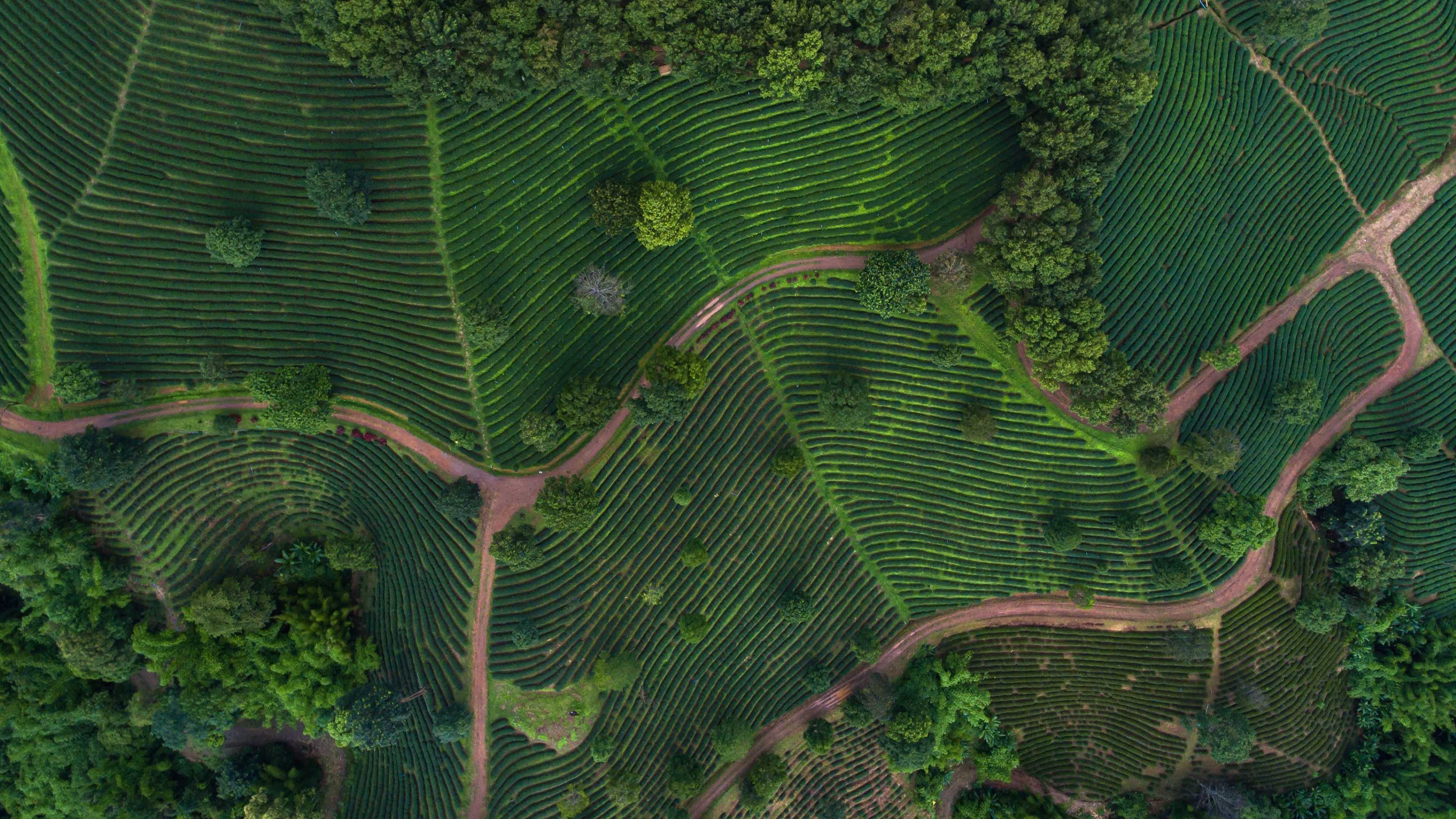 Membership benefits for producer and suppliers