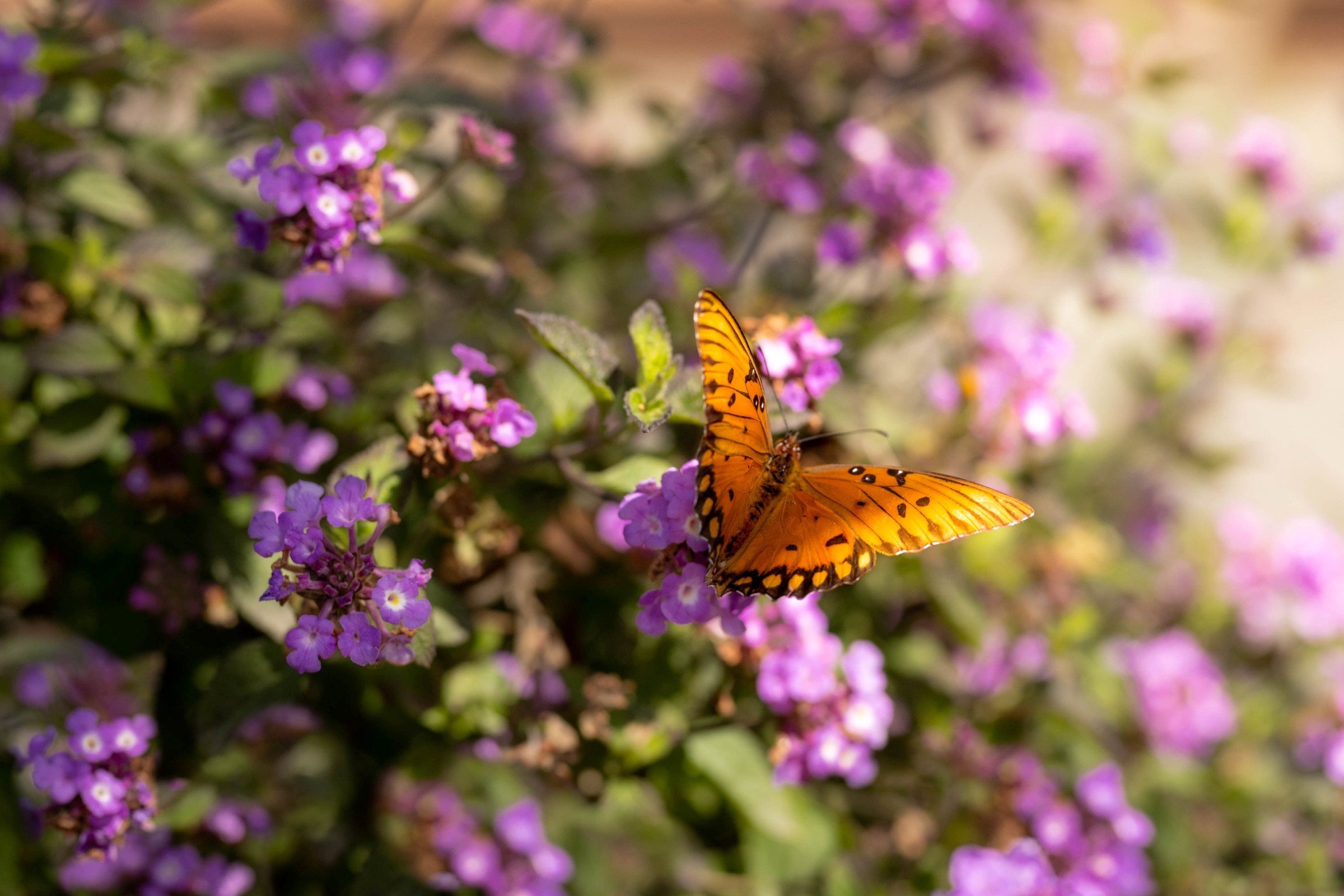 Driving environmental responsibility on the farm: Piloting a new GLOBALG.A.P. solution